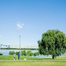 닥터파파동물병원 이미지