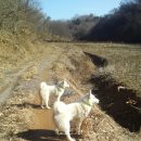 아롱이다롱이 이미지