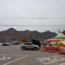 주산지공용버스터미널 네이버블로그