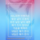 💜우효의 &#39;사노라면&#39;💜
