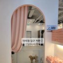 베이비댕 | 대전 강아지호텔 샤랄라 피치핑크 커튼 커텐셋팅!