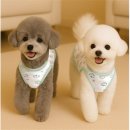 나들스토어 이미지