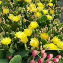 강인한농장 이미지