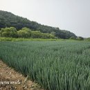 KN 국제행정사사무소 이미지