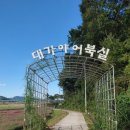 어부실 이미지