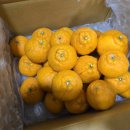 애월사랑 이미지