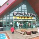 자연생태박물관 | 문경 아이와 가볼만한곳 문경자연생태박물관 실내놀이터 후기