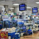 태양상회 | [노량진] 노량진회맛집 신안상회 (feat. 제철추천회 포장 &amp; 단새우 서비스 후기 )