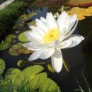 종각역 2번 출구 이미지