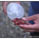 통영펜션하늘채 이미지