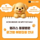 웰리스 동물병원 이미지