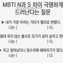 mbti N과 S 차이가 드러난다는 질문 이미지