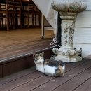 어느멋진날에 2 | [을왕리] 바베큐파티 제대로 즐긴 독채펜션 ‘어느멋진날에2’