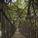 마로니에펜션 | 대전 펜션 추천 마로니에펜션 알짜팁만!