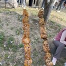 논산애견 이미지