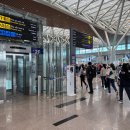 카서비스 | 베트남 다낭 패스트트랙 서비스 렌트카 예약 후기