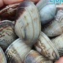 조아수산 이미지