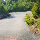 247-운정3-247 이미지