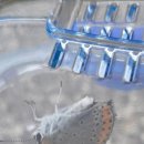 세종동_전월산 무궁화 테마공원 | 무궁화테마공원