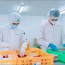 수출 농산물 이미지