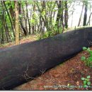 논골목장 2 이미지