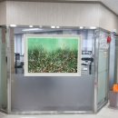 서구노인복지관(12) 이미지