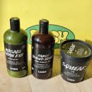 MR.SOON-미스터순 | 2026 러쉬 프레쉬 세일 구매 후기 및 구매리스트