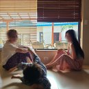 태평한 대평 이미지