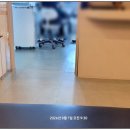 박의원 | 기장 치과 추천 박치과의원 위니 치료 후기(1)