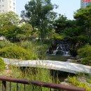 미르초등학교 이미지