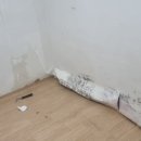 사파동220 이미지