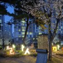 공간꽃조경 이미지