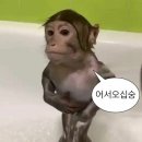 전주막걸리 먹으러 가세요