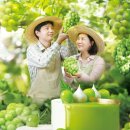 파리바게뜨영천 아이뉴스24