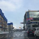 세종코코약국