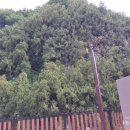 단산우체국 이미지