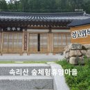 맹개마을체험휴양마을 | 보은 속리산 숲체험휴양마을 후기