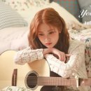 다이아컴퍼니 이미지