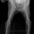 도담메디컬 이미지