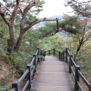 숲속쉼터 이미지