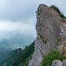 신도서부센타 이미지