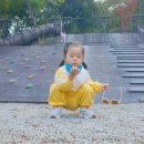 정읍사공원 유아숲체험원 이미지