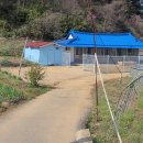 무허가집