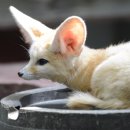 국립생태원동물병원 이미지