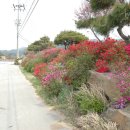 고부농장 이미지