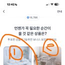 250207 토스 두근두근 1등 찍기 팀플전 이미지