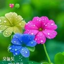 개화3리 경로당 이미지