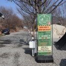 괴산-2 | 충북 괴산 애견동반 숲캠핑장 1번, 2번 사이트 솔직후기