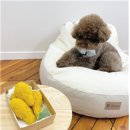 디어댕댕 이미지