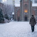 고요한 아침 이미지